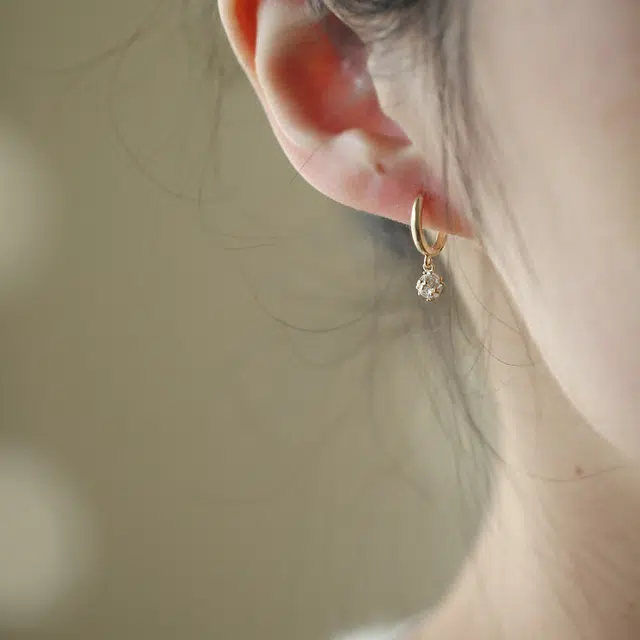 zoo jewel S925