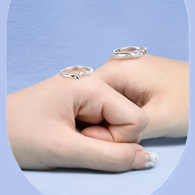 zoo jewel S925