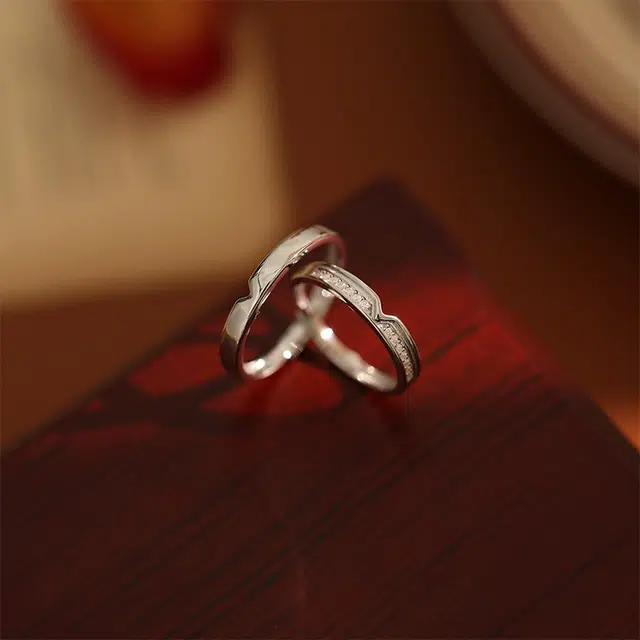 zoo jewel v S925