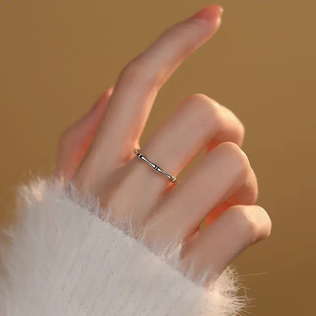 zoo jewel S925
