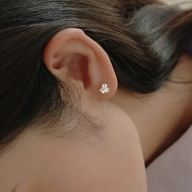 zoo jewel S925
