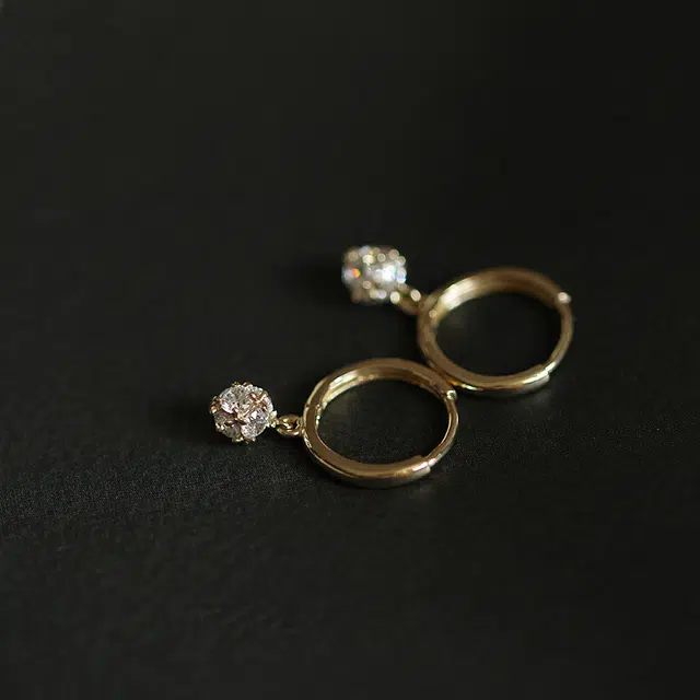 zoo jewel S925