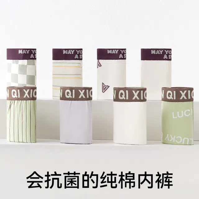 棉奇熊 时尚亲肤舒适透气内裤青少年