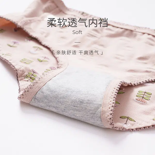 多拉美 甜美日系中腰舒适裆无痕透气三角裤短裤内裤 女款