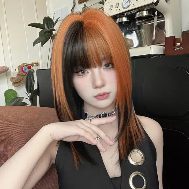50cm