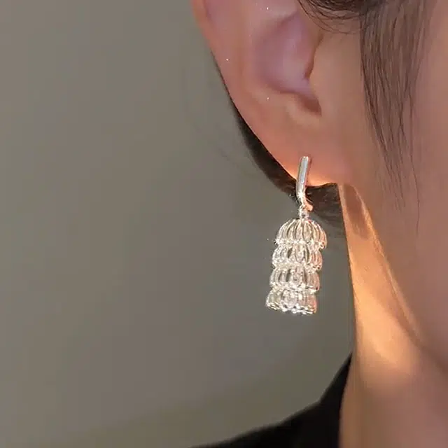 沂茹 时尚新潮个性精致小众设计感银色镂空几何鸟笼耳坠耳饰日常通勤百搭森系高级感 合金 耳环 女款