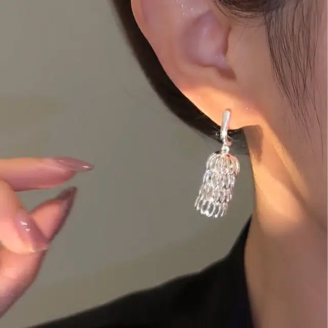 沂茹 时尚新潮个性精致小众设计感银色镂空几何鸟笼耳坠耳饰日常通勤百搭森系高级感 合金 耳环 女款