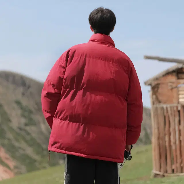 依文 简约高级感休闲百搭立领宽松面包服领口格纹中性风设计感无性别穿搭潮牌保暖廓形小众慵懒风棉服 男女同款