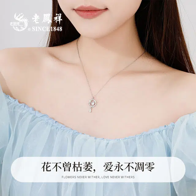 ins 990