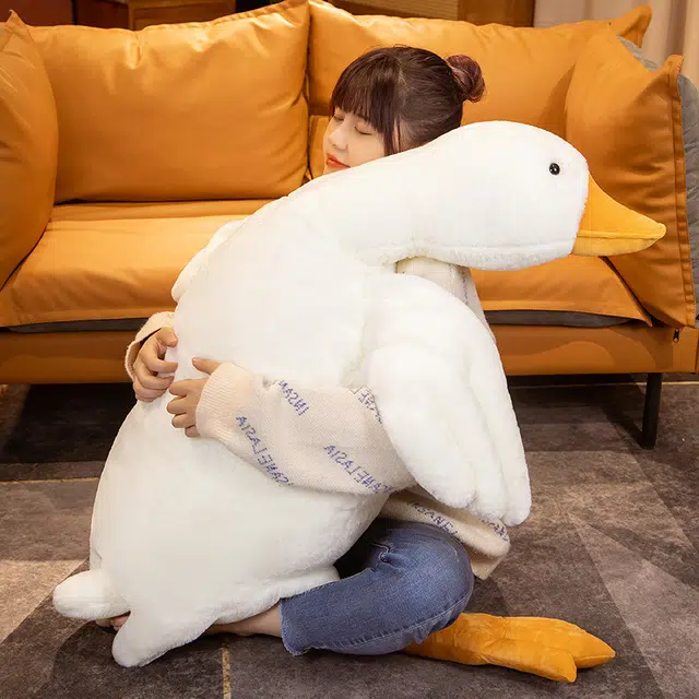 50cm90cm