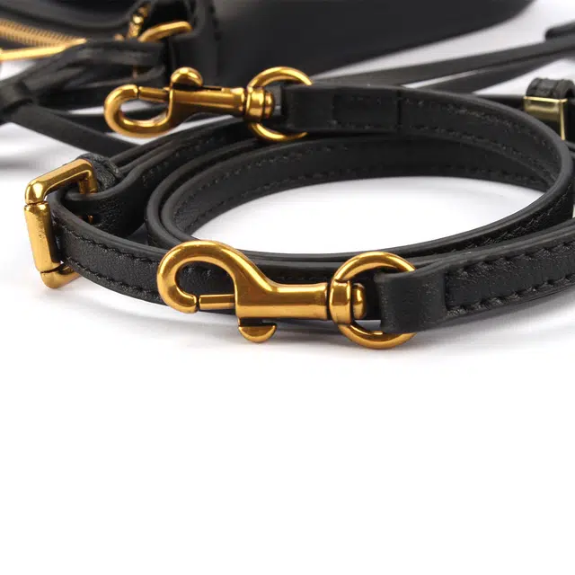 AQUASCUTUM