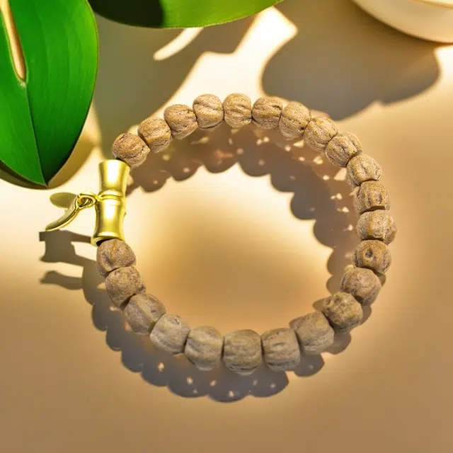 彗时 节节高升 新中式竹节国风纳福转运珠佛珠文玩盘串平安轻奢小众 生日送礼盒物 柏香籽/百香籽 手串 男女同款情侣款