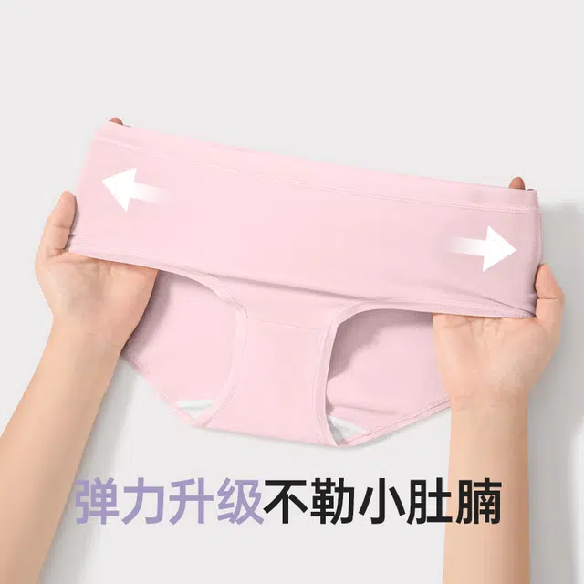 健将 纯棉大码中腰抗菌透气三角内裤 女款