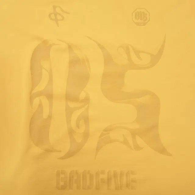 LiNing BADFIVE