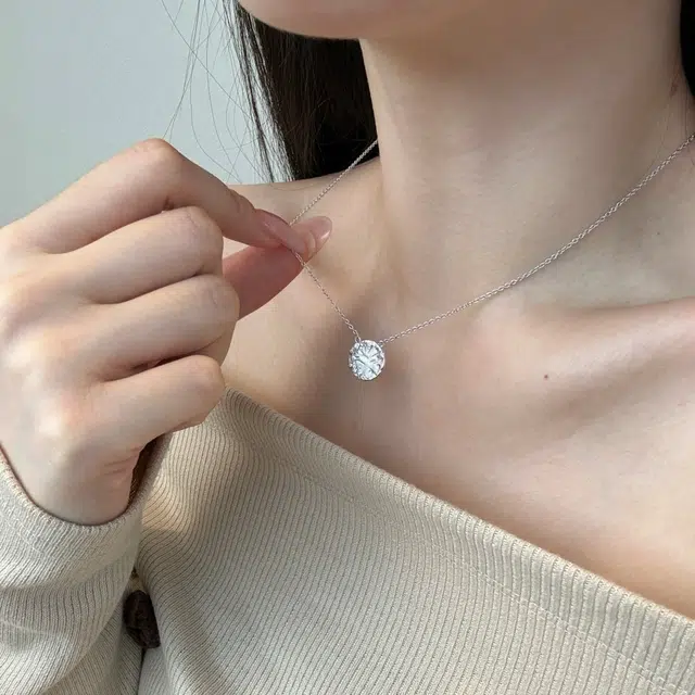 INS s925