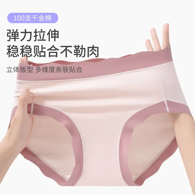 yingzina 1007A 5