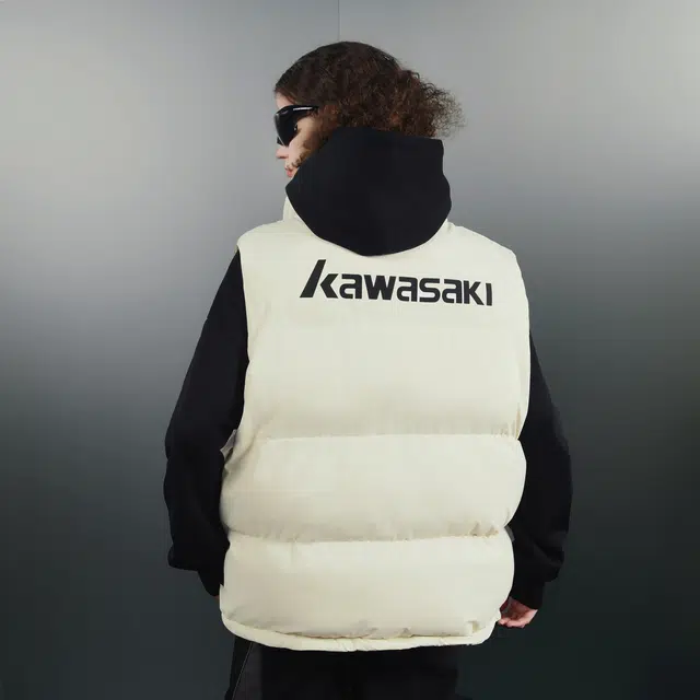 Kawasaki Logo