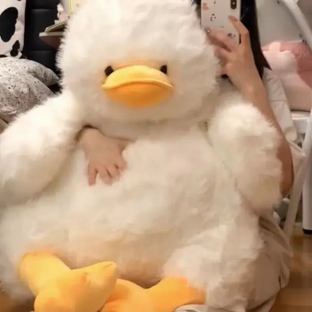 YUOU 407095cm
