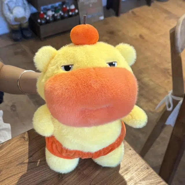 YUOU 25cm35cm