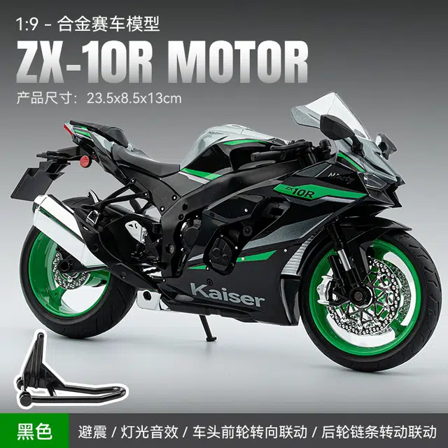 Ninja ZX-10R 19