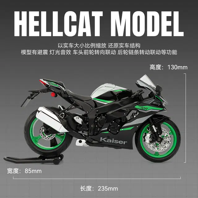 Ninja ZX-10R 19