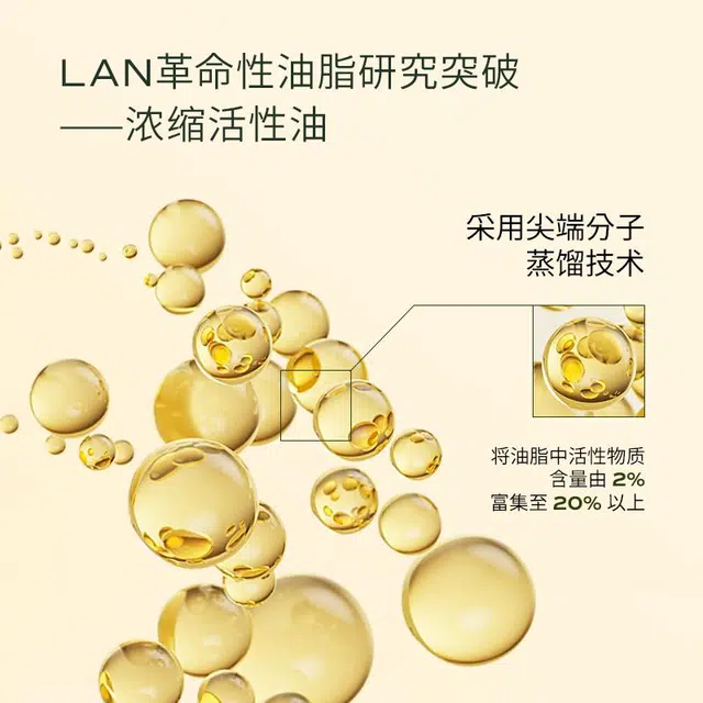 LAN