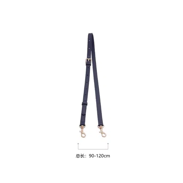DIORSaddle Oblique