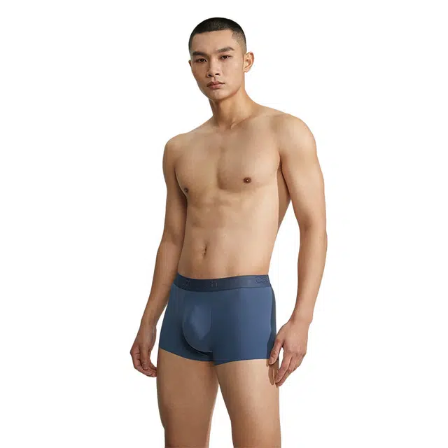 CKCalvin Klein