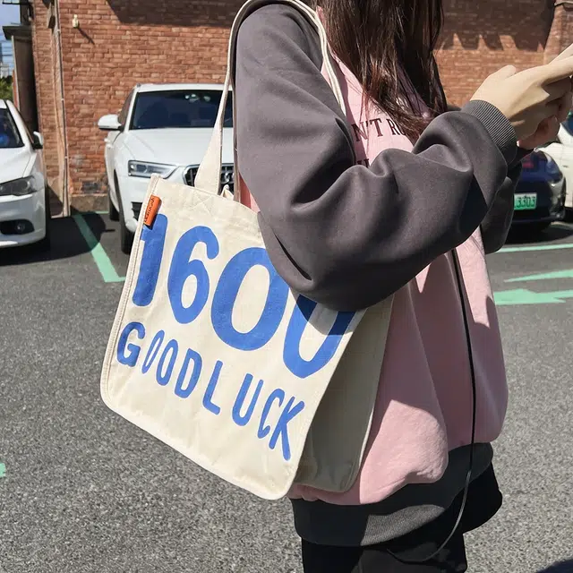 醇龙 休闲百搭多色时尚 帆布 帆布包手提包 男女同款情侣款