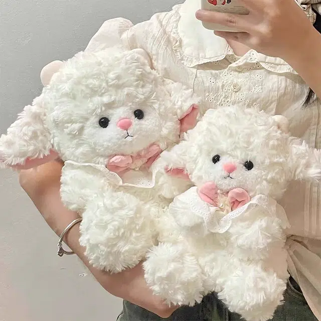 25cm