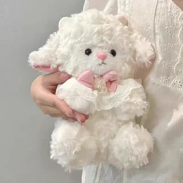 25cm