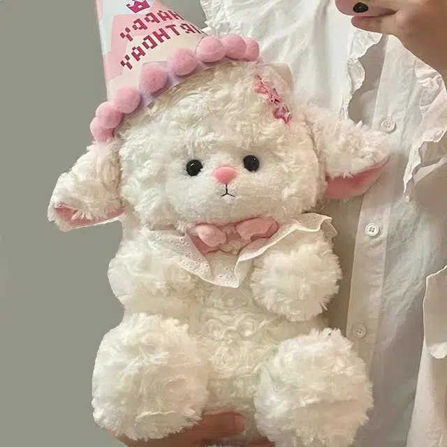 25cm