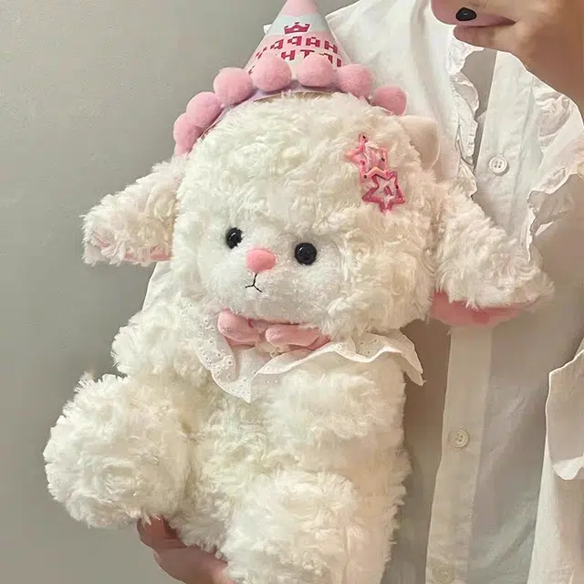 25cm