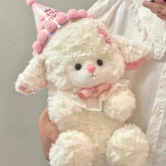 25cm