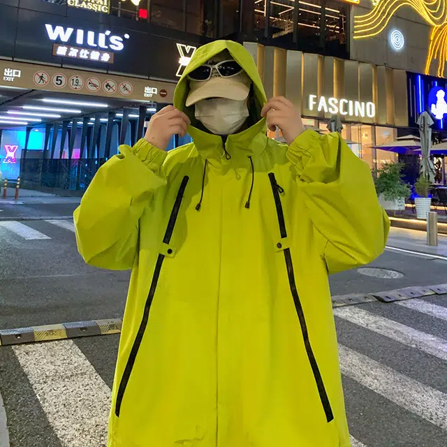 GOOSELIAR