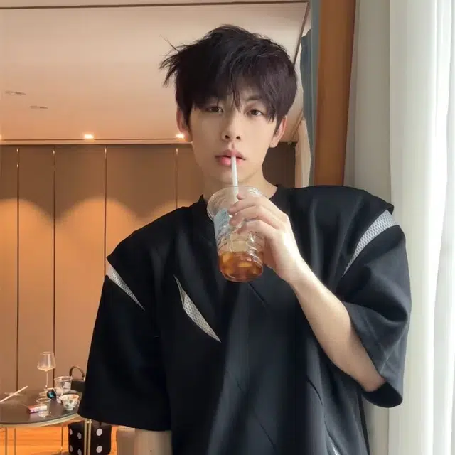 GOOSELIAR tT