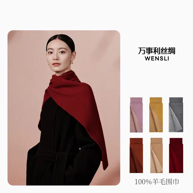 WENSLI 100