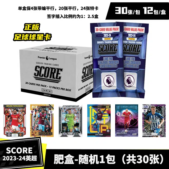 PANINI Score 112