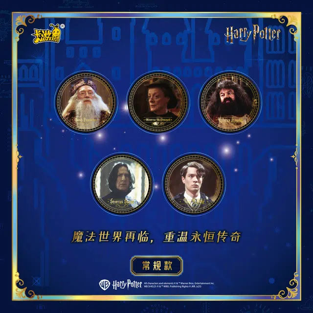 卡游 哈利波特 魔法永恒系列 徽章