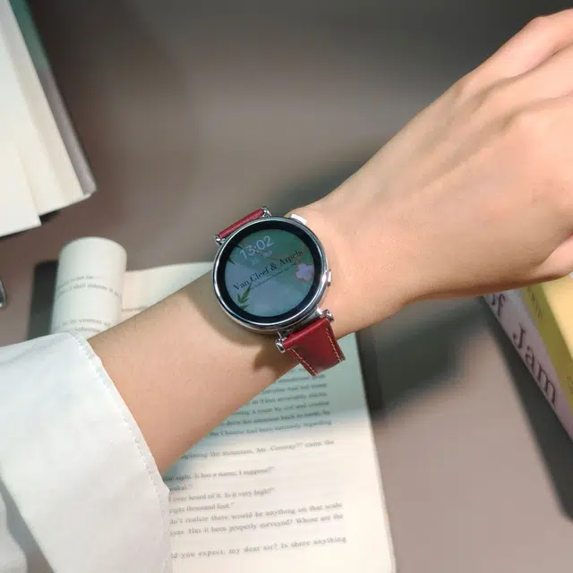 Akkerds fit4fit3gt6gt6prowatch5GT5GT4