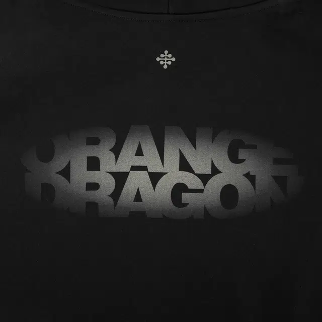ORANGE DRAGON 2025 logo450g