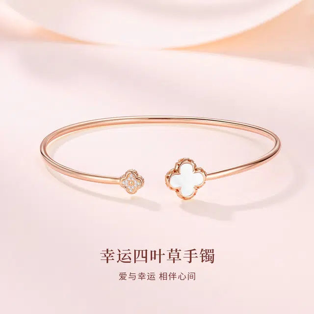 ins S925
