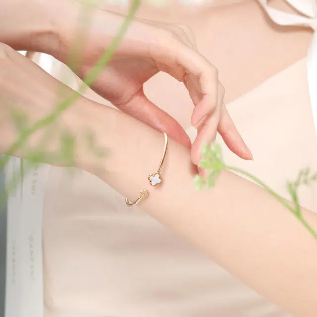 ins S925