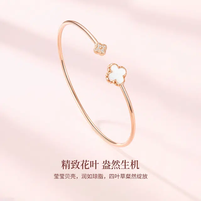 ins S925
