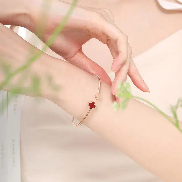 ins S925