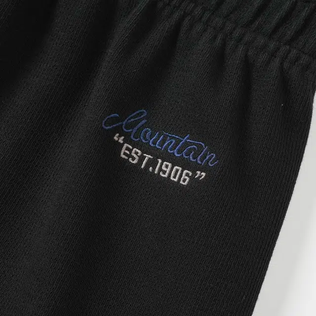 Mizuno logo