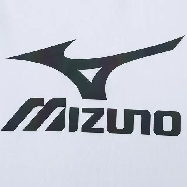 Mizuno T