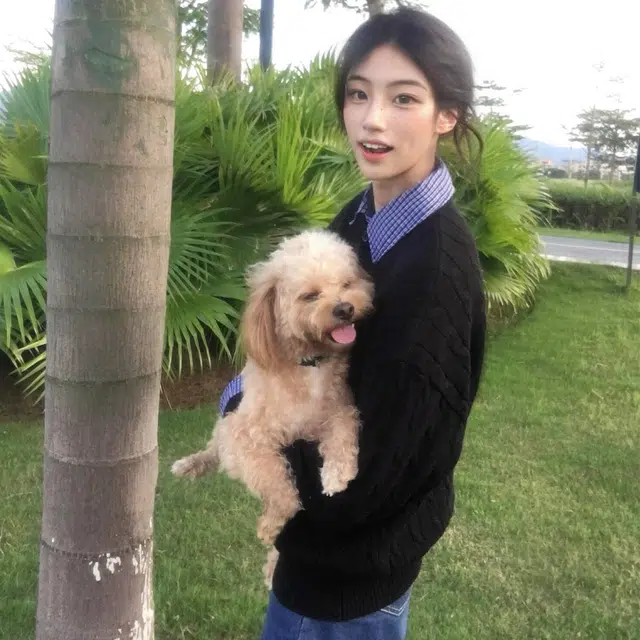 DEMAVIE insPOLOcleanfit