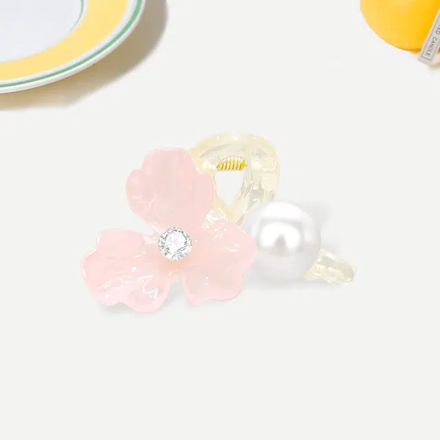 Crafts Women ins
