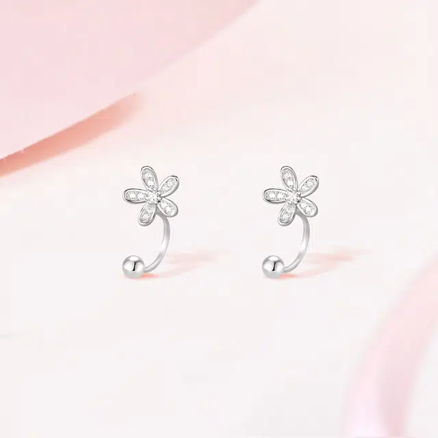 Crafts Women ins
